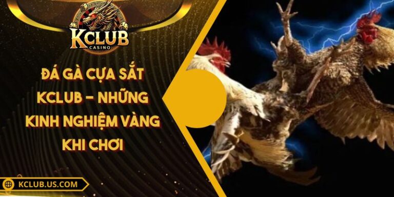 Đá Gà Cựa Sắt KCLUB - Những Kinh Nghiệm Vàng Khi Chơi