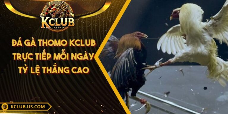 Đá Gà Thomo KCLUB Trực Tiếp Mỗi Ngày Tỷ Lệ Thắng Cao
