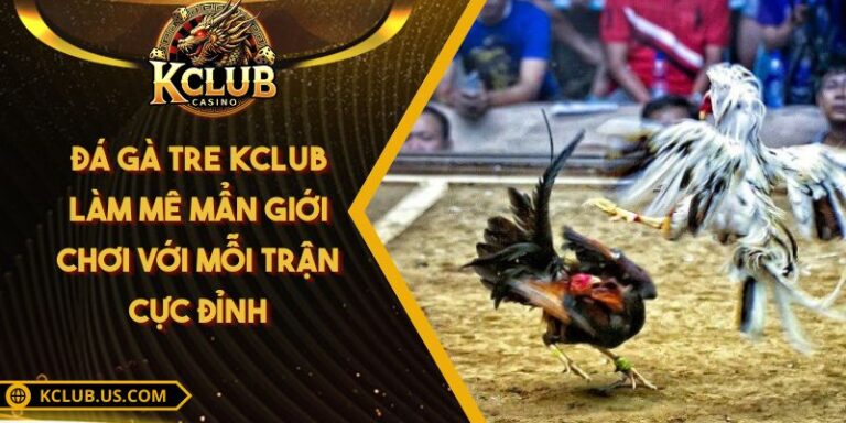 Đá Gà Tre KCLUB Làm Mê Mẩn Giới Chơi Với Mỗi Trận Cực Đỉnh