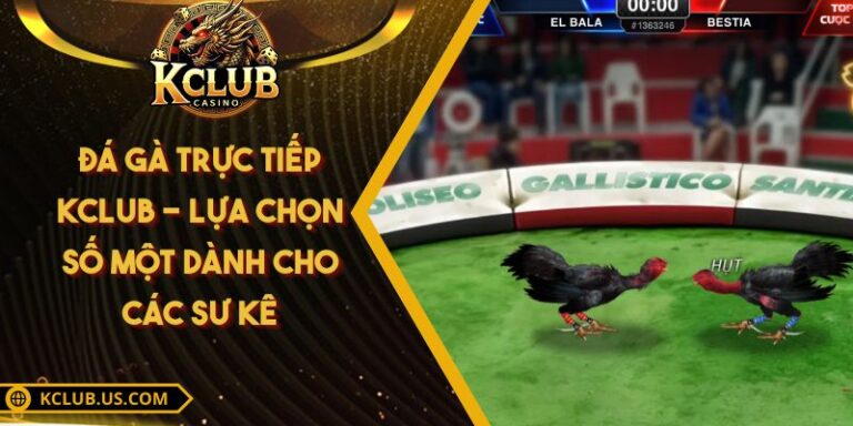 Đá Gà Trực Tiếp KCLUB - Lựa Chọn Số Một Dành Cho Các Sư Kê